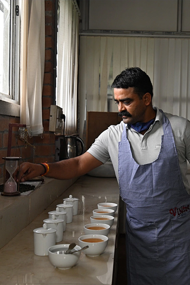 Tea Trail