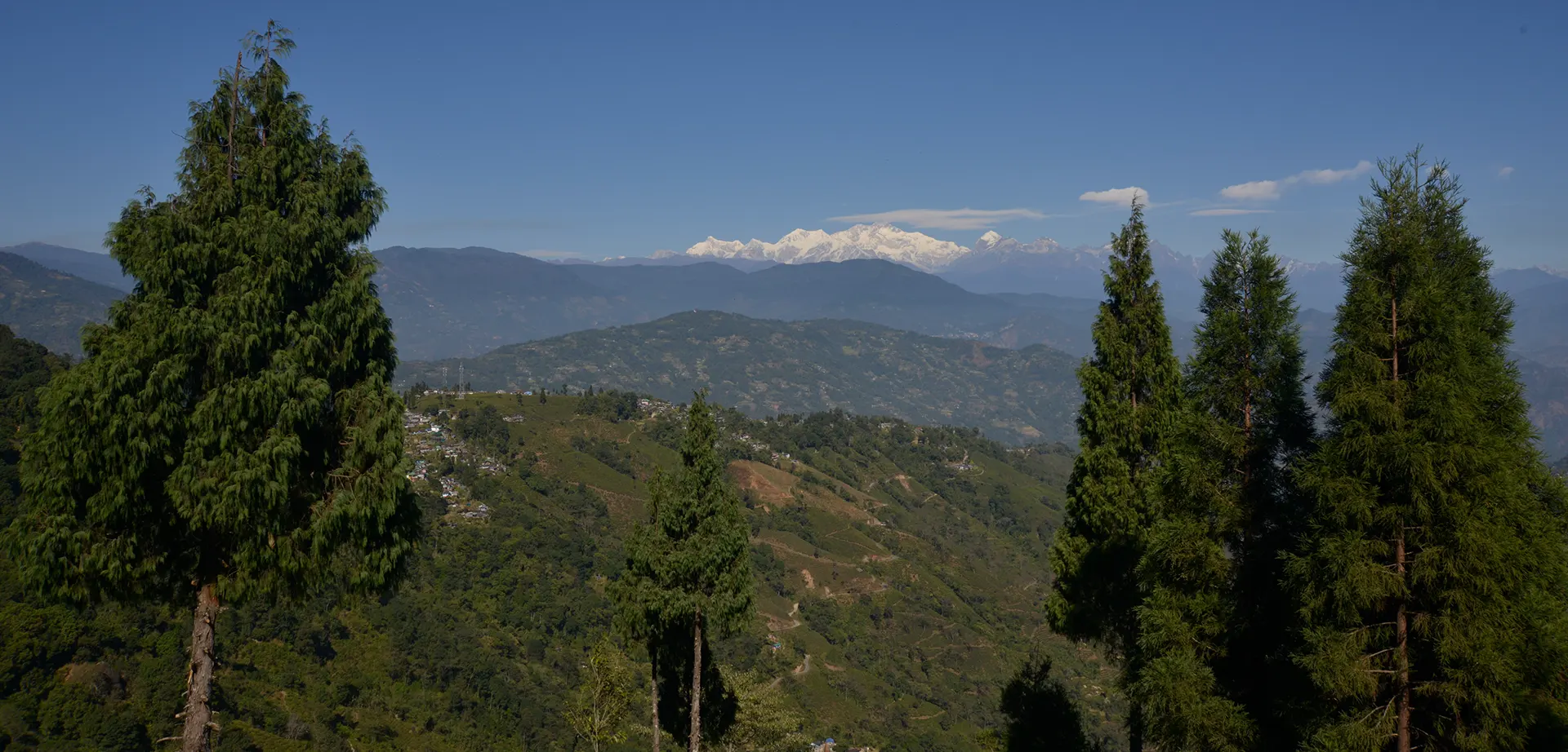 tumsong tea retreat