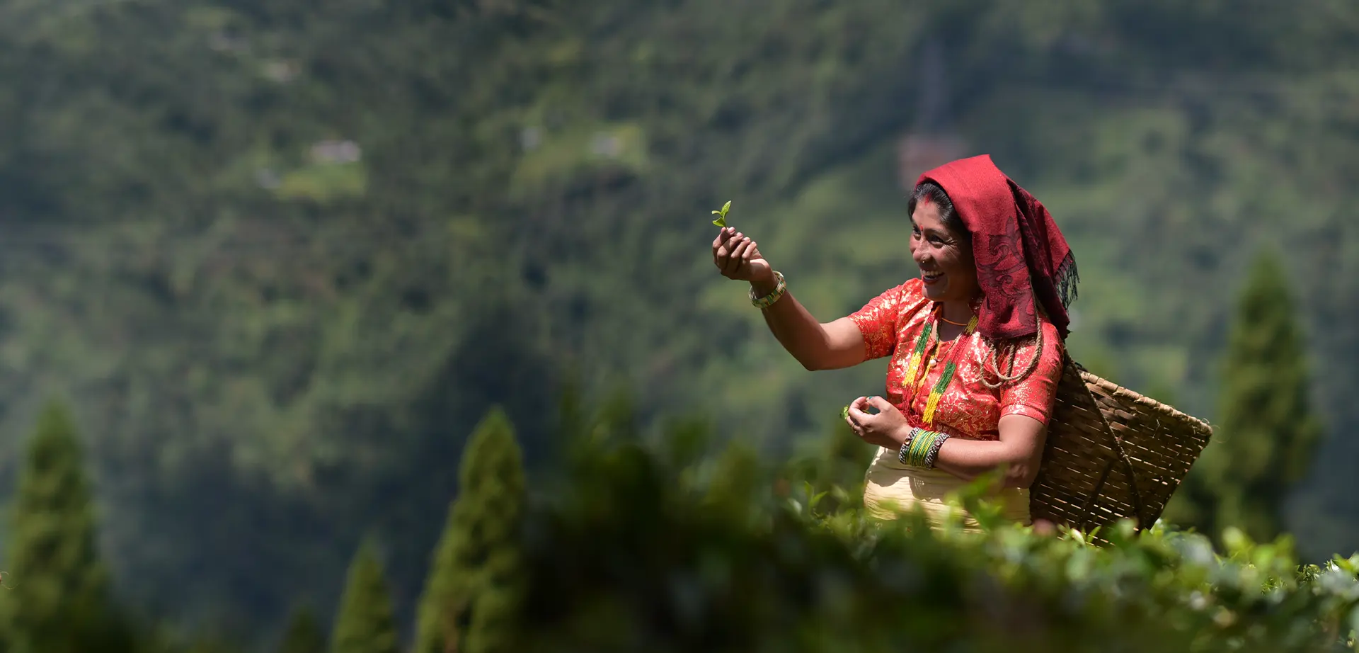 tumsong tea retreat